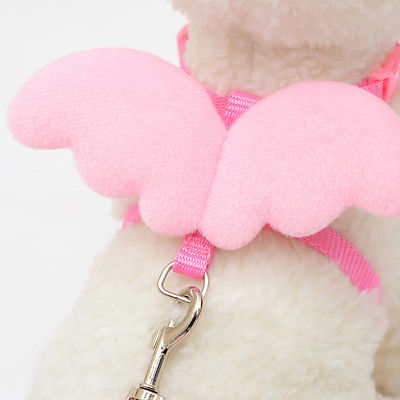 Cutie Wings Harness