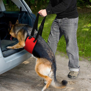 Best Pal Lifting Aid