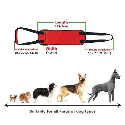 Best Pal Lifting Aid