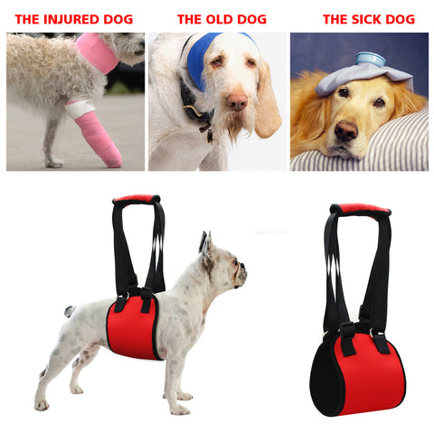 Best Pal Lifting Aid