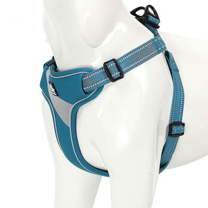 Walking Support Harness