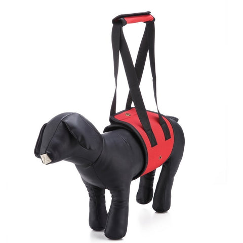 Dog Hand Strap Harness