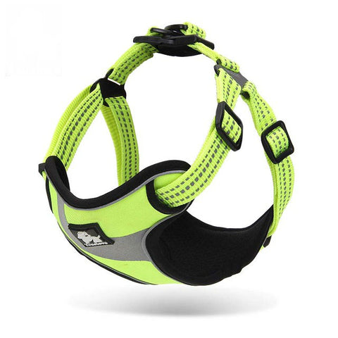 Walking Support Harness