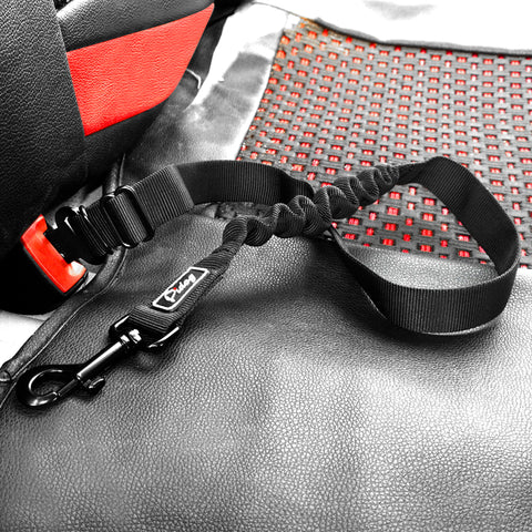 Elastic Pet Seatbelt