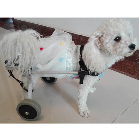 Pet Recovery Wheelchair