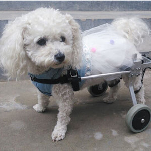 Pet Recovery Wheelchair