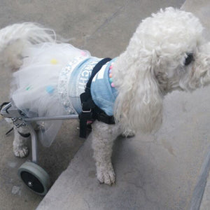 Pet Recovery Wheelchair