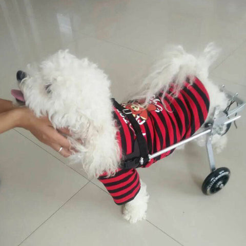 Pet Recovery Wheelchair