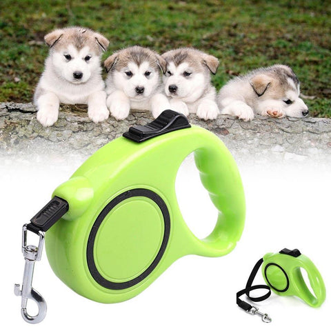 Automated Retractable Pet Leash