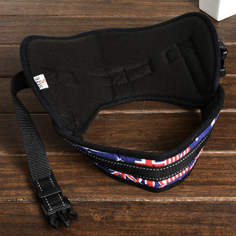 Chest Supporting Harness