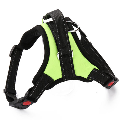 Pal's Breathable Harness