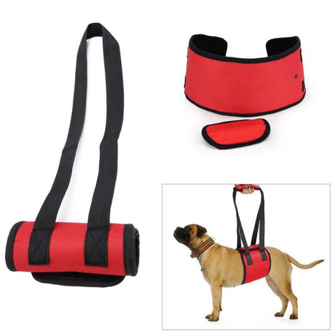 Easy Roll Up Lifting Harness