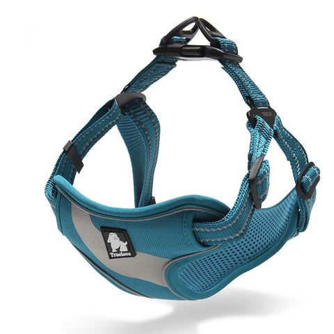 Walking Support Harness