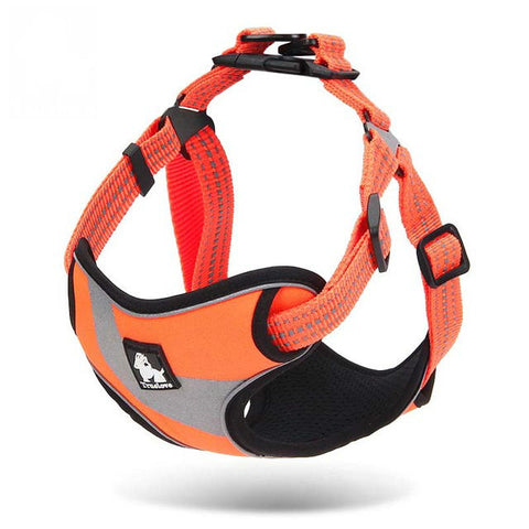 Walking Support Harness