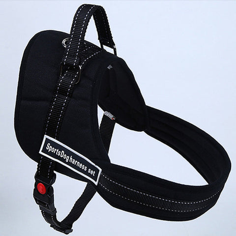 Chest Supporting Harness