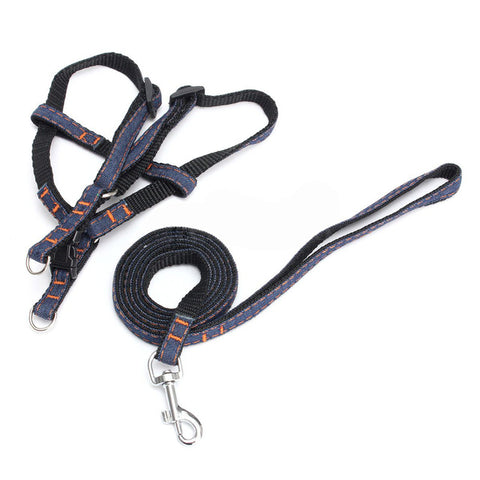 Adjustable Splitter Pet Leash