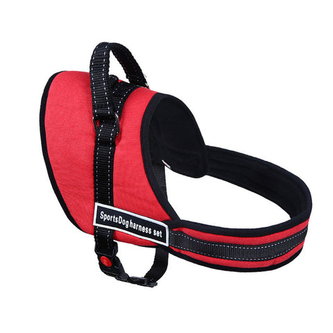 Chest Supporting Harness