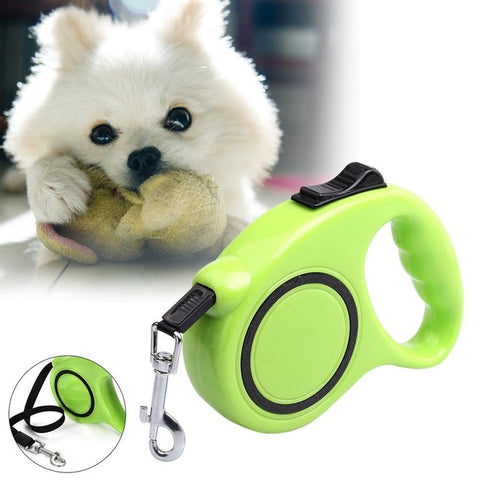 Automated Retractable Pet Leash