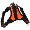 Pal's Breathable Harness